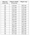 Cosmo tabela rozmiarów do dreptulek 18-34 allegro-page-001-crop.jpg