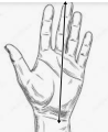 2024-11-25 (1).png