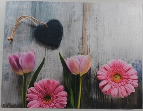 45fc20ab47aa8c49da845631f731